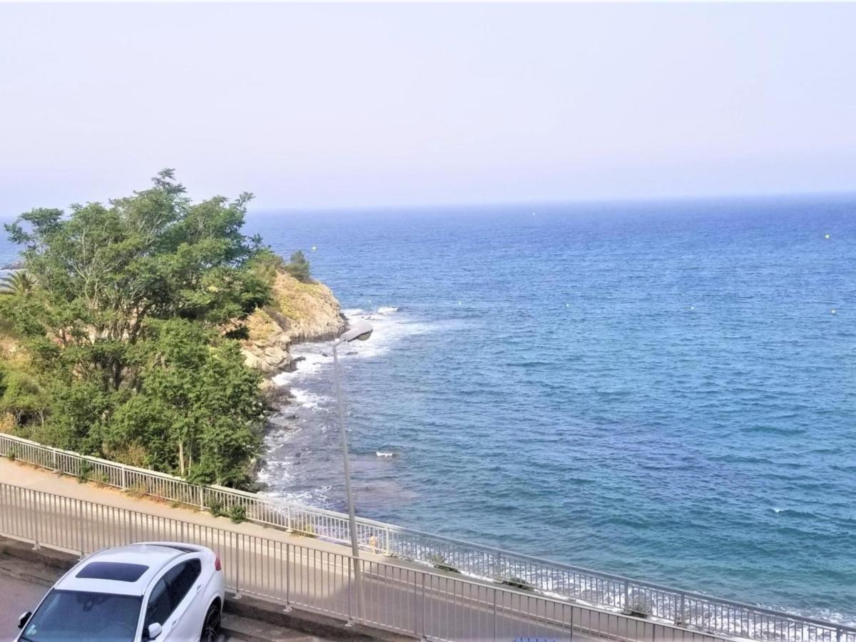 Appartement T3 A Banyuls, Climatise, Proche Plage - Fr-1-309-281 Екстер'єр фото